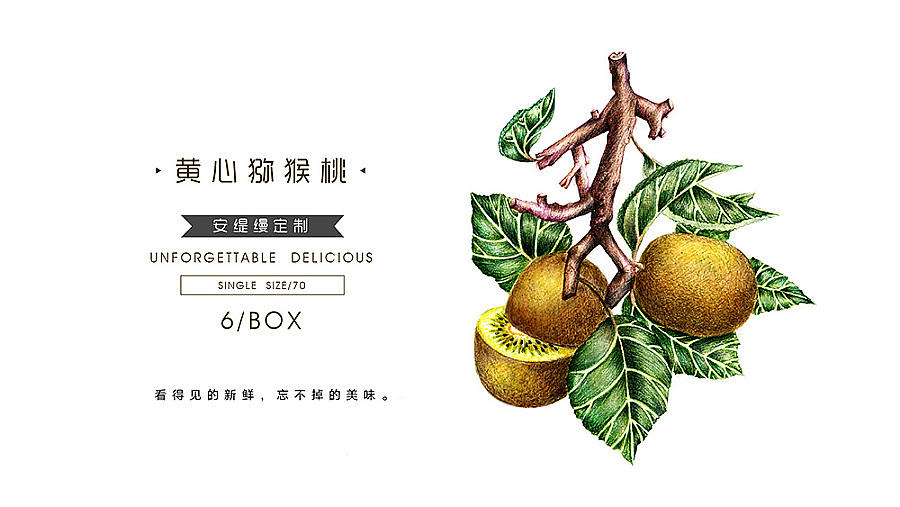 猕猴桃包装（图ZNzA3MjIzOTY=） - 包装 - 站酷设计师景域旅投原创素材 - 站酷ZCOOL
