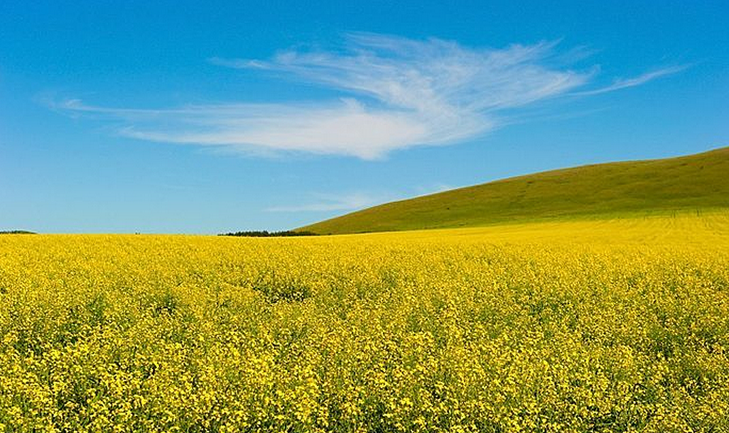 美丽内蒙古(三)