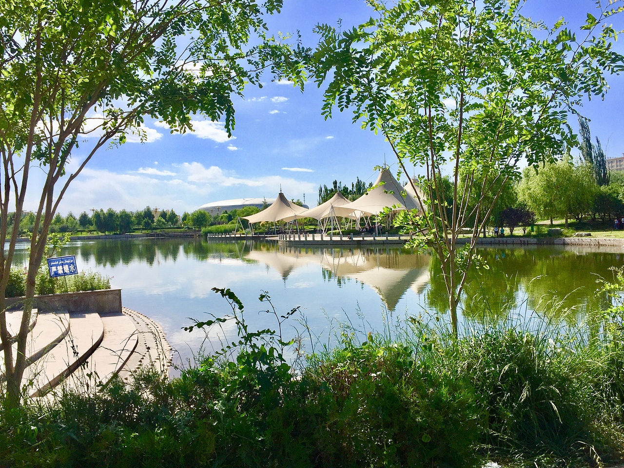 美丽的新疆喀什莎车县新城区(城南区)