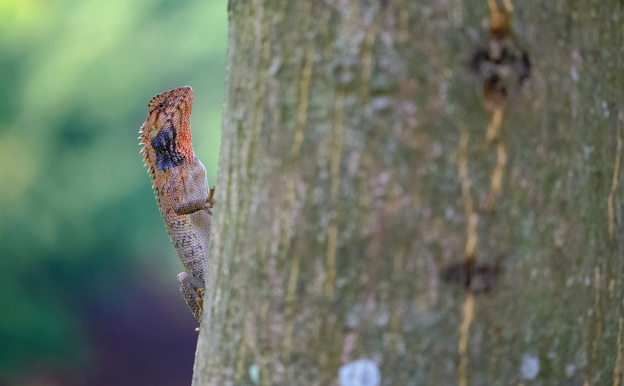 一些附近的生态微距小品（图ZMTc4MzYyNTA4） - 风光摄影 - 站酷设计师瓜哥微距摄影原创素材 - 站酷ZCOOL
