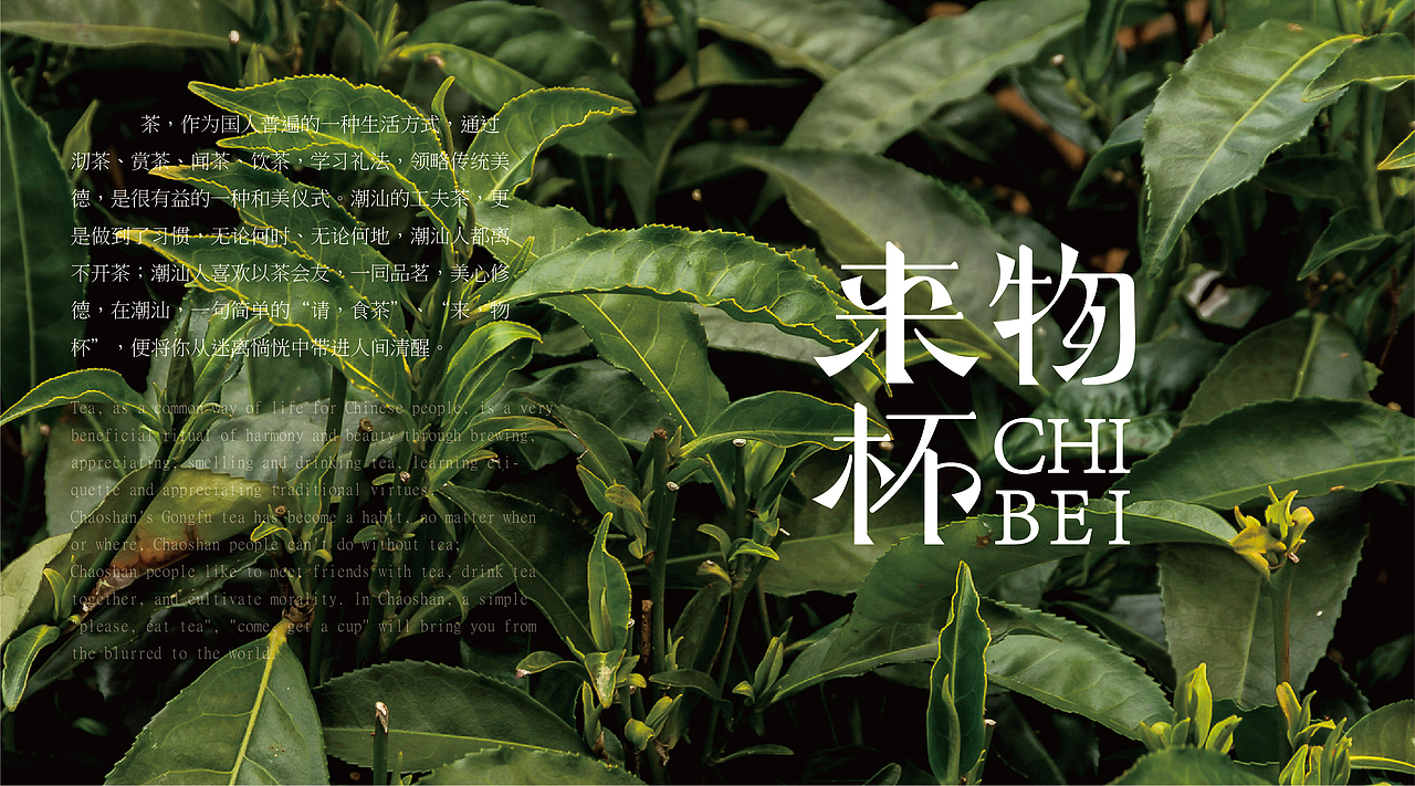 来物杯·CHIBEI·茶包装设计