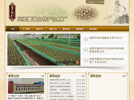 网页设计医药文化官网