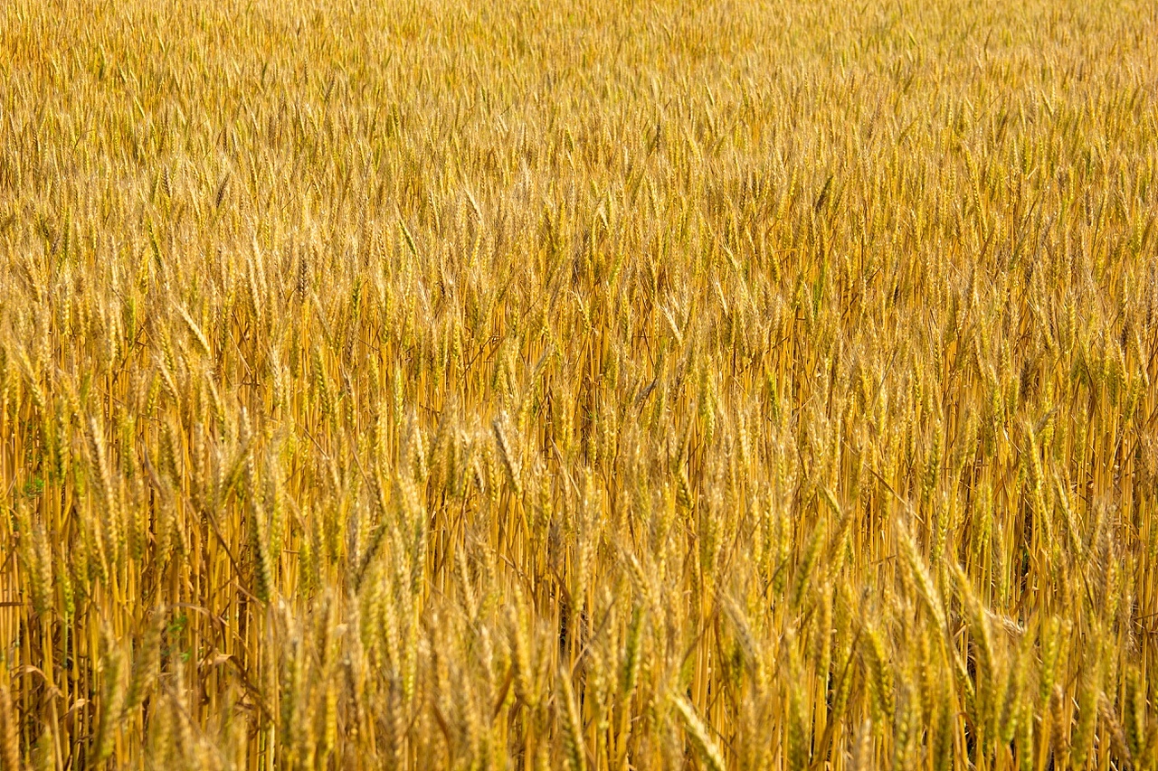 旧照（图ZMzU0NTg3ODg=） - 风光摄影 - 站酷设计师jyb179原创素材 - 站酷ZCOOL