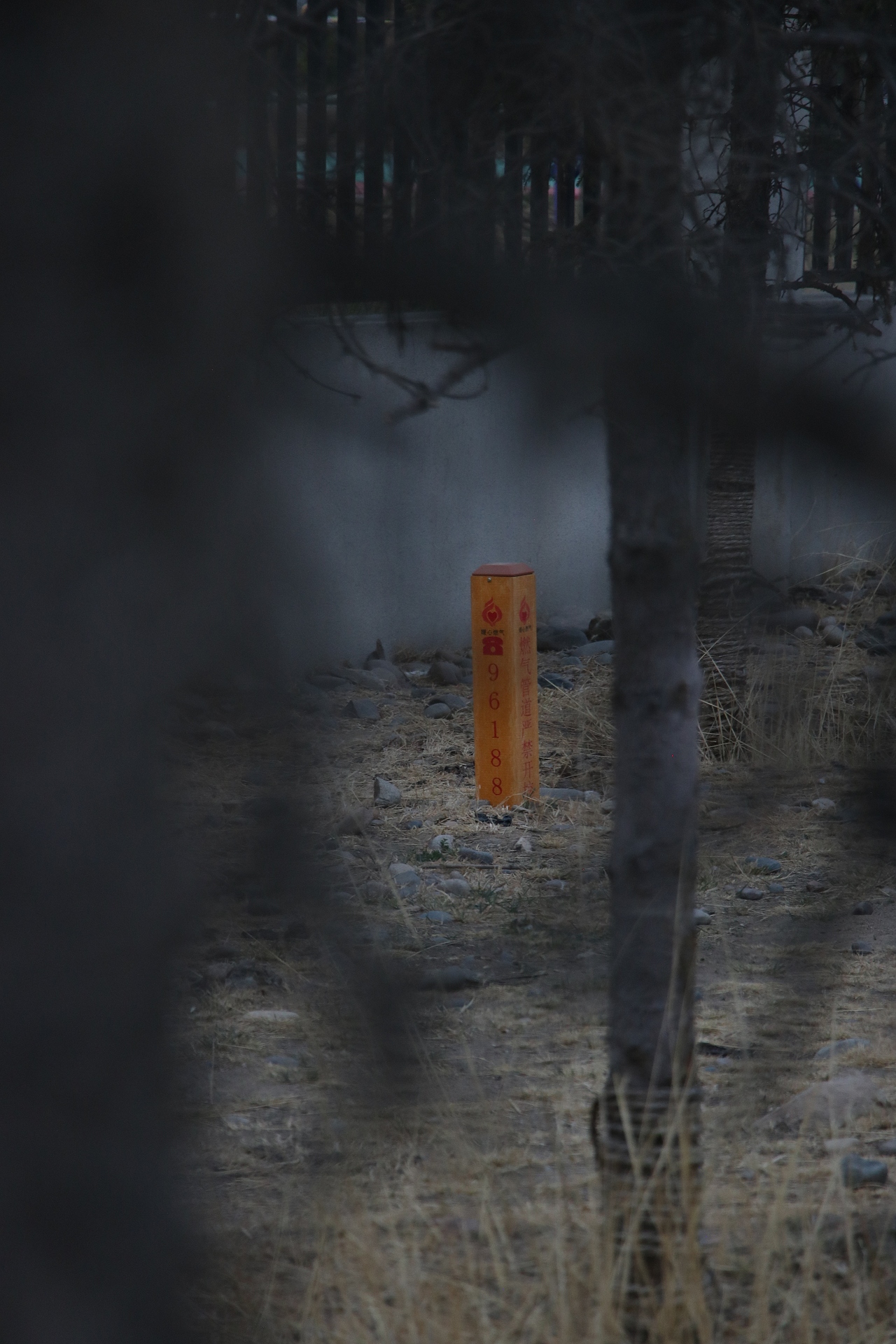 扫街日记（图ZMjk1NzY3NTY0） - 人文/纪实摄影 - 站酷设计师见习忍者原创素材 - 站酷ZCOOL