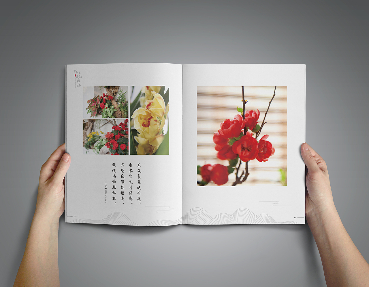 植物園畫(huà)冊(cè)（圖ZMTY4NjY1MTEy） - 書(shū)籍/畫(huà)冊(cè) - 站酷設(shè)計(jì)師siyton原創(chuàng)素材 - 站酷ZCOOL