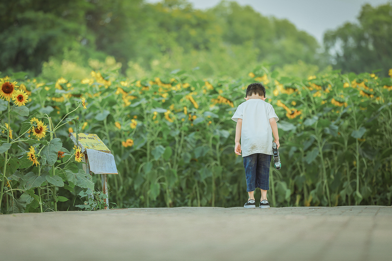 小希学长拍娃记 | 葵园童趣