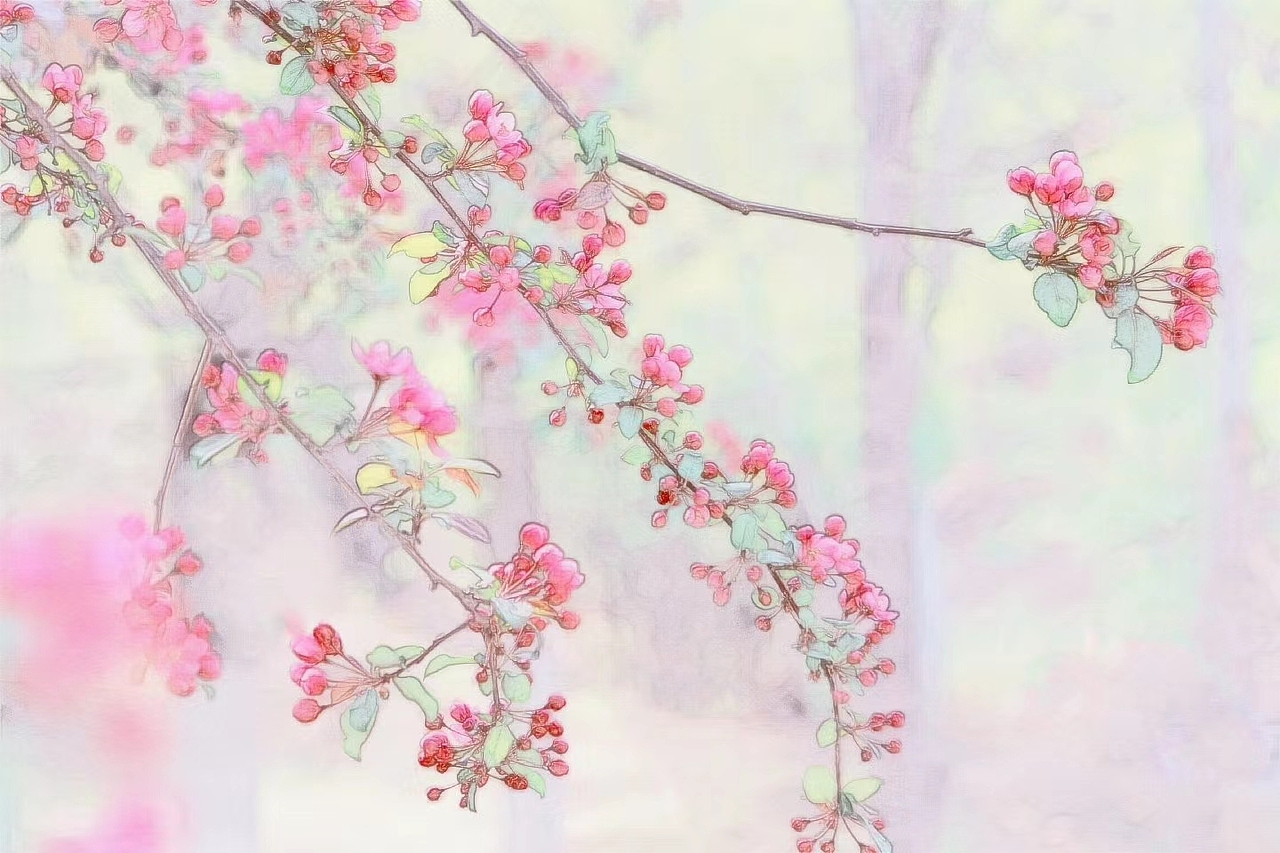 中国风一一海棠花