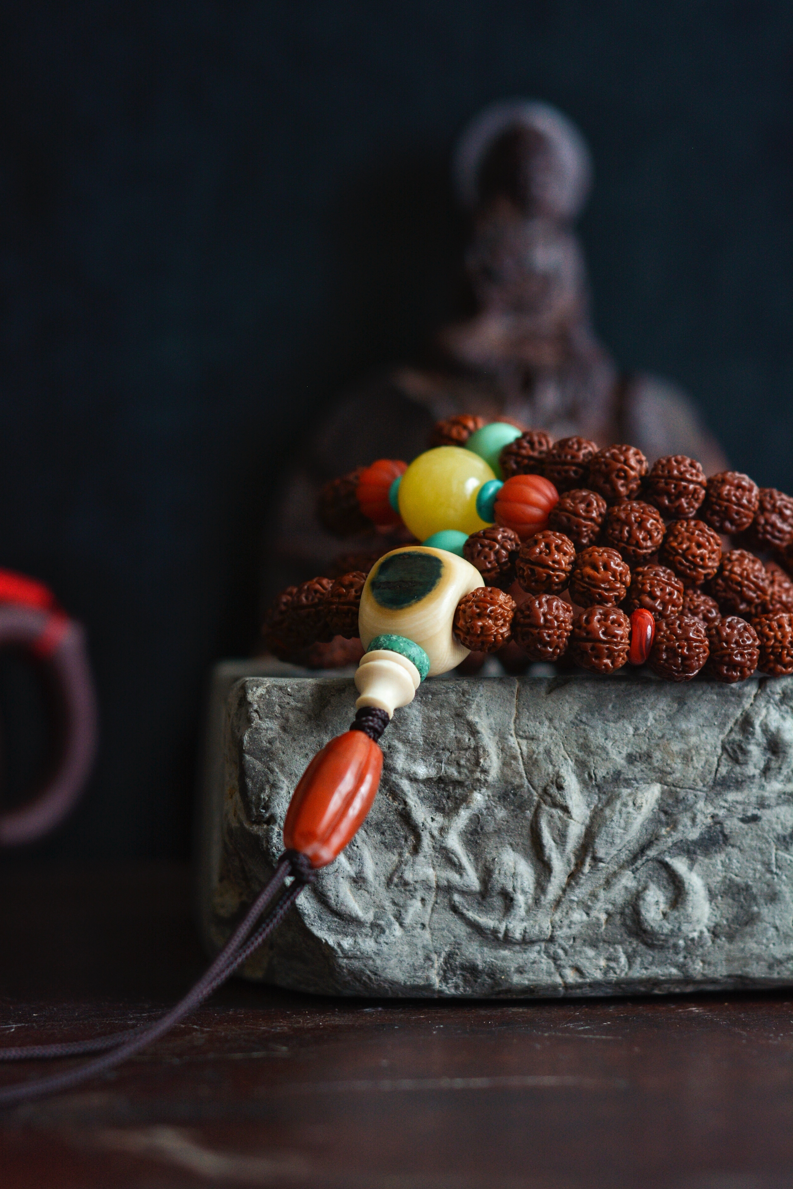 半年的金刚手持,9个月的小金刚,4年的星月.