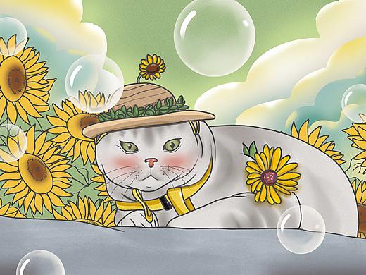 午后的猫咪