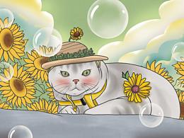 猫