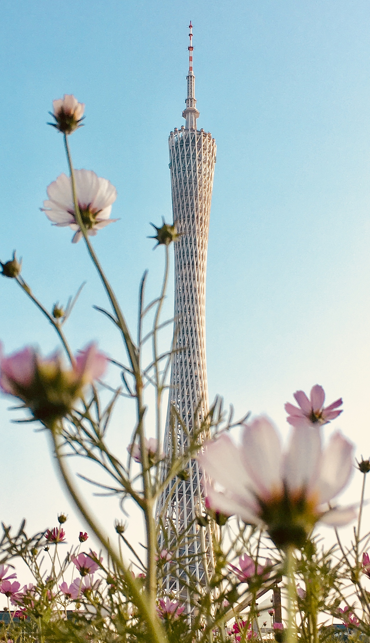 我的手机摄影随拍（图ZMjcyMTI0NzU2） - 风光摄影 - 站酷设计师新一Sun原创素材 - 站酷ZCOOL