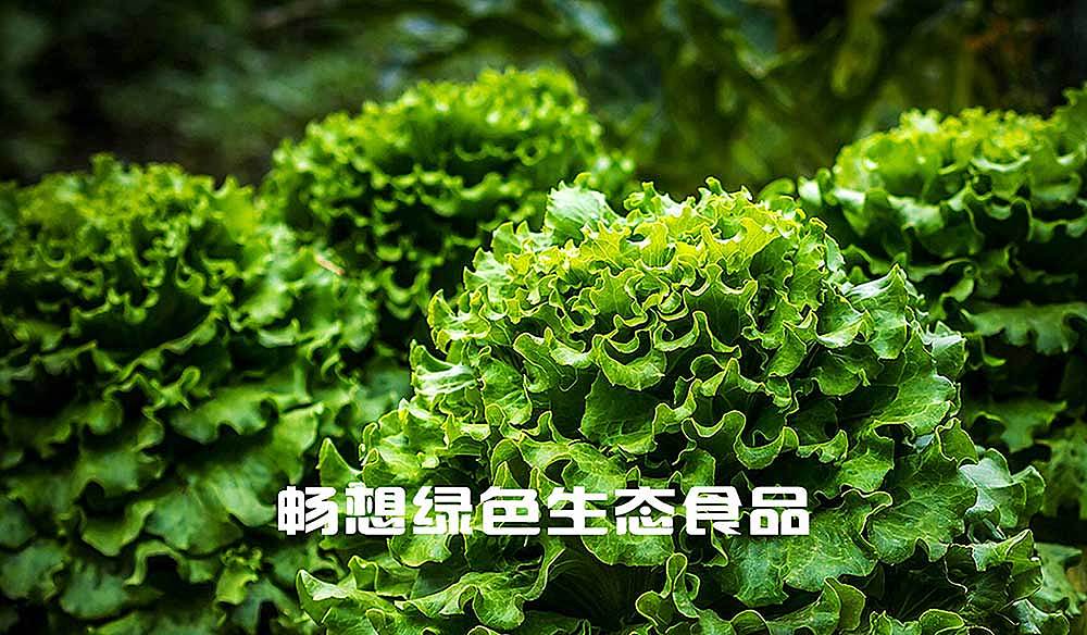 长沙农业品牌形象设计