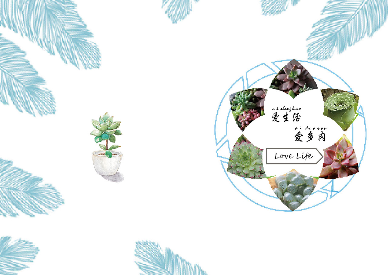 多肉植物画册