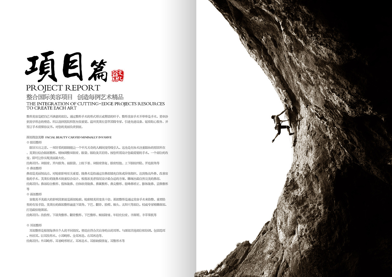 画册（图ZNzgwMTg2MTY=） - 品牌 - 站酷设计师岳振强原创素材 - 站酷ZCOOL