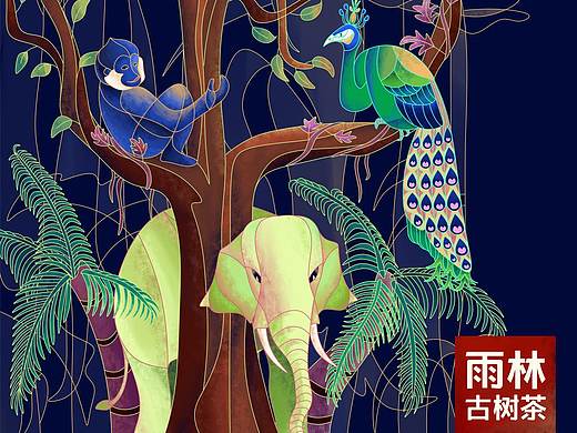 雨林古树茶——产品包装插画图