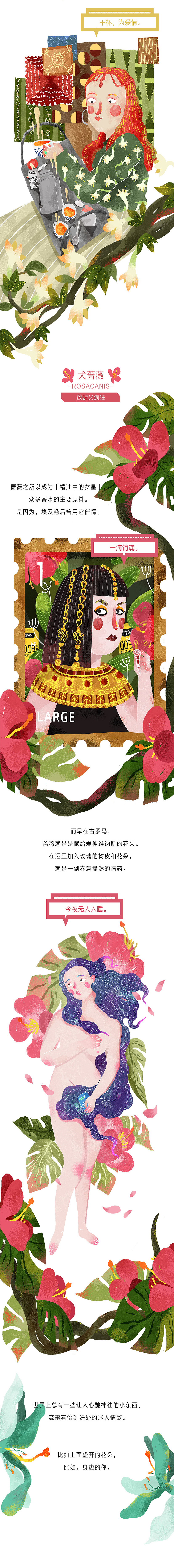 岡本 走进你的花房