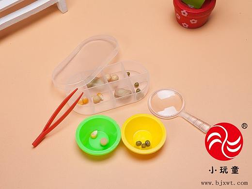 DIY创意实验- 科学种子发芽实验