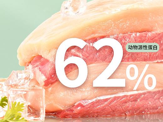 小犬狗粮详情页