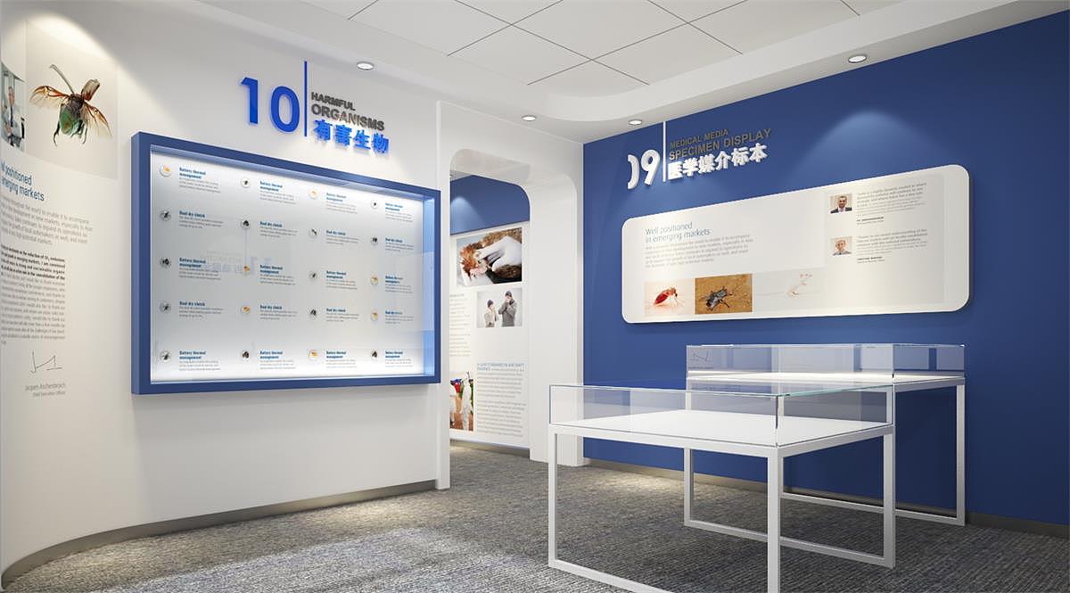 动植物标本展示区