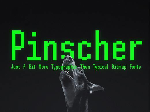 SH Pinscher 免费像素字体