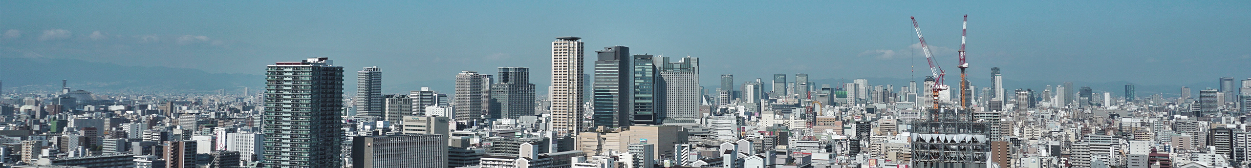 海棠仙子的个人主页（封面预览） - 主页封面设置 - 站酷设计师海棠仙子原创素材 - 站酷ZCOOL