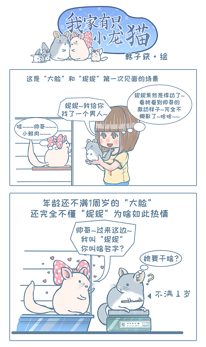 中国原创龙猫漫画《我家有只小龙猫》小故事28-31