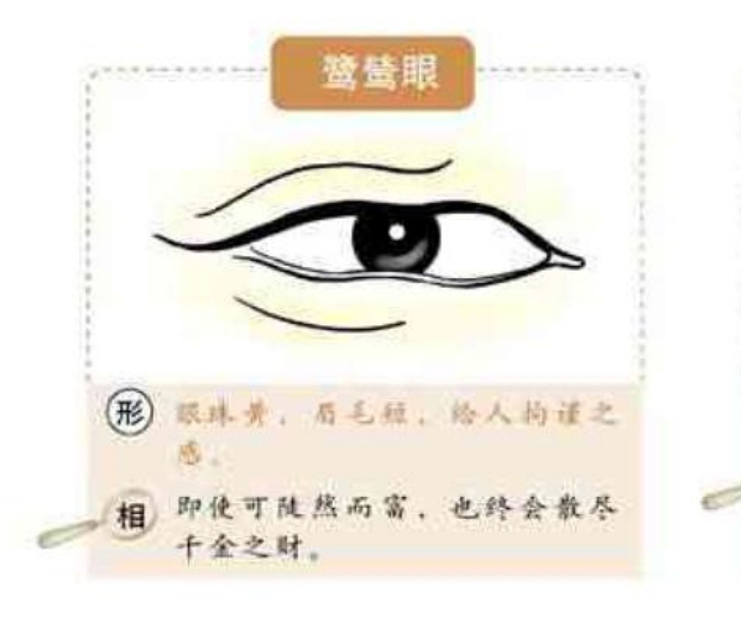 麻衣神相中眼型