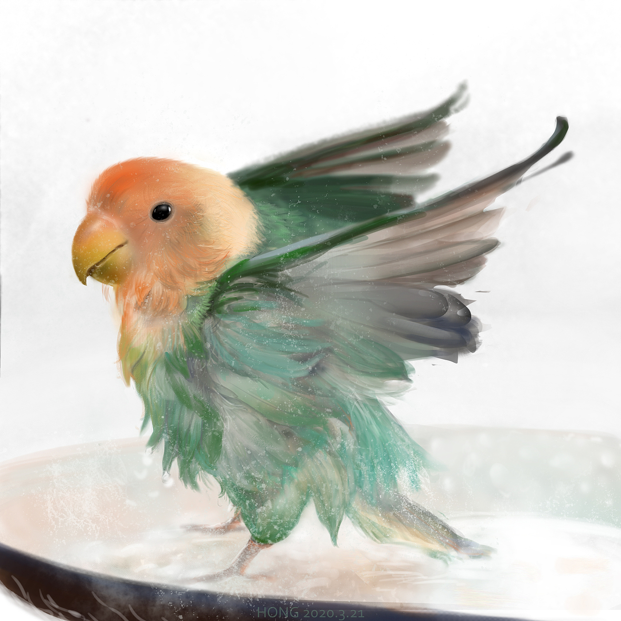 给小鹦鹉洗了个澡，咋看都像在煮它（图ZMjAxNDI0ODQw） - 创作习作 - 站酷设计师洪琪h7原创素材 - 站酷ZCOOL