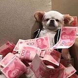刘大傻的头像