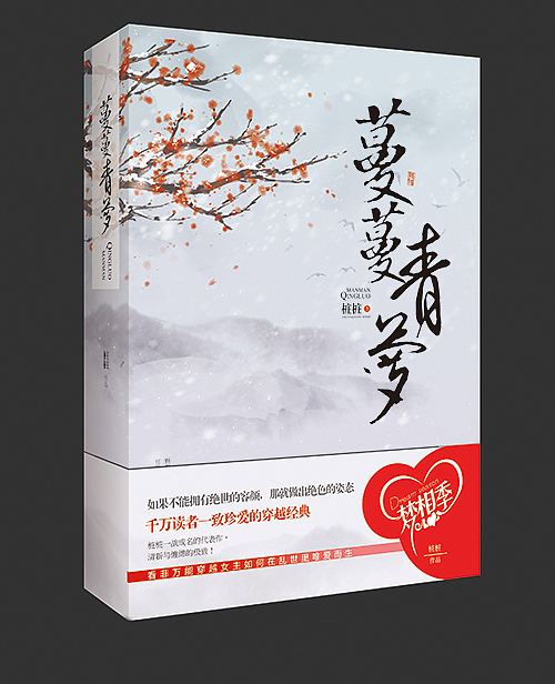 书籍装帧设计/那些14-15年间被毙掉的飞机稿（图ZMzgyMjA5OTY=） - 书籍/画册 - 站酷设计师浪殿工作室_飞扬原创素材 - 站酷ZCOOL