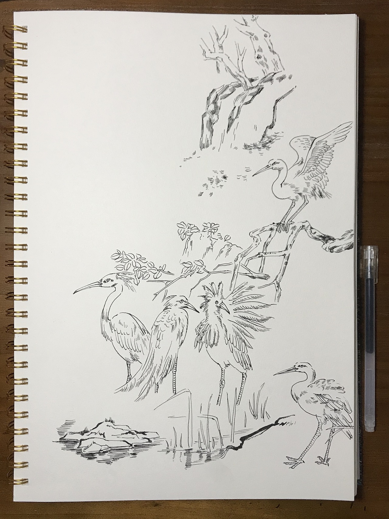 作品类型:钢笔慢写作者:画家杨瑞作品尺寸:28x21cm武汉