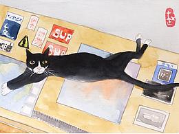 猫