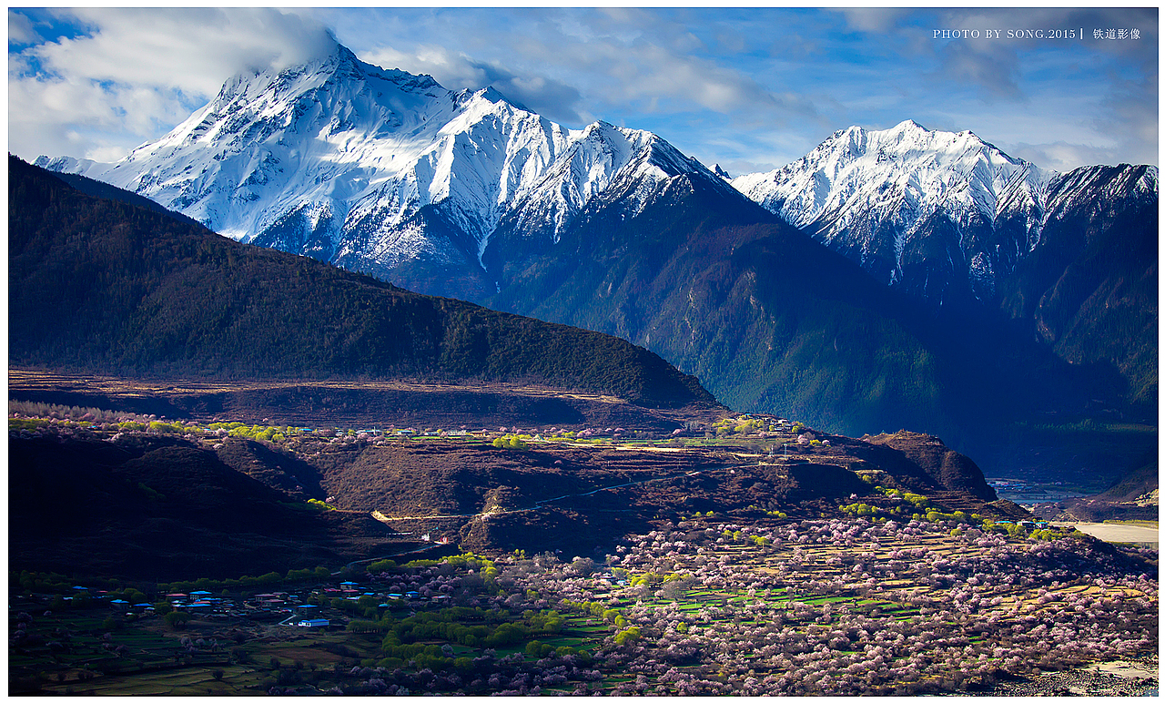 桃花朵朵开，西藏林芝的桃花-【茸城老T】摄影（图ZNDEzNTgzODQ=） - 风光摄影 - 站酷设计师茸城老T原创素材 - 站酷ZCOOL