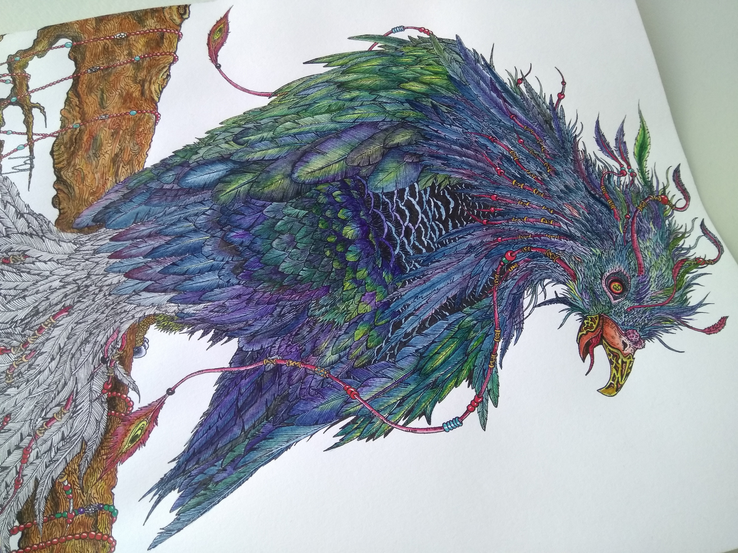 2018.04.17山海经-南山经-青丘山之灌灌