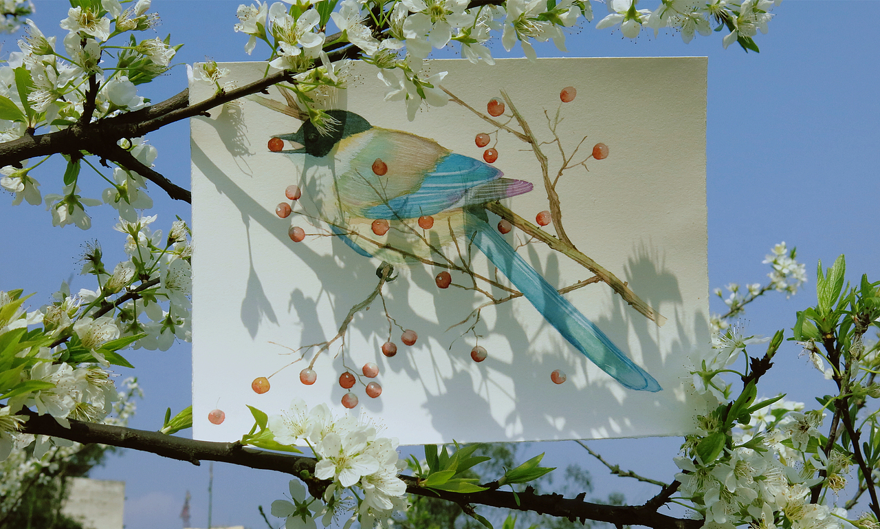 小鸟~（图ZMTY1NzY1NTA4） - 商业插画 - 站酷设计师瑶背背原创素材 - 站酷ZCOOL