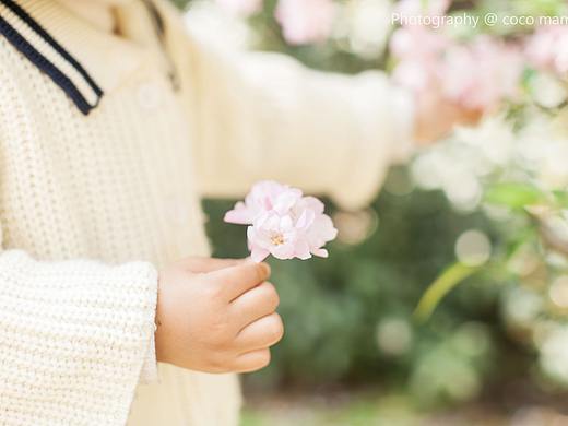 做一个安静的小文青
