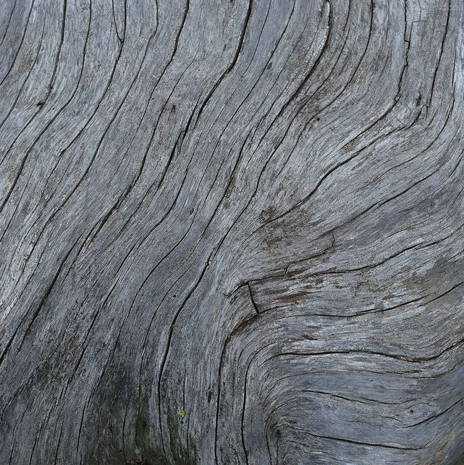 鶴白白的個人主頁（背景預(yù)覽） - 主頁背景設(shè)置 - 站酷設(shè)計師鶴白白原創(chuàng)素材 - 站酷ZCOOL