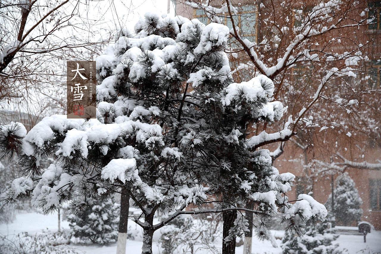 大雪·银壶（图ZNDA5OTYyOTY=） - 产品摄影 - 站酷设计师Jokerdream原创素材 - 站酷ZCOOL