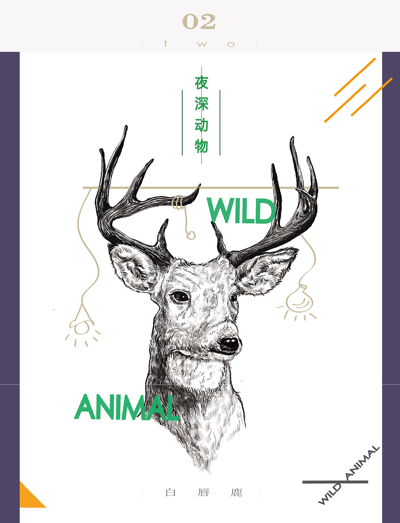 《夜深 动物》（图ZNjAxOTU4NDg=） - 概念设定 - 站酷设计师zeroCC原创素材 - 站酷ZCOOL