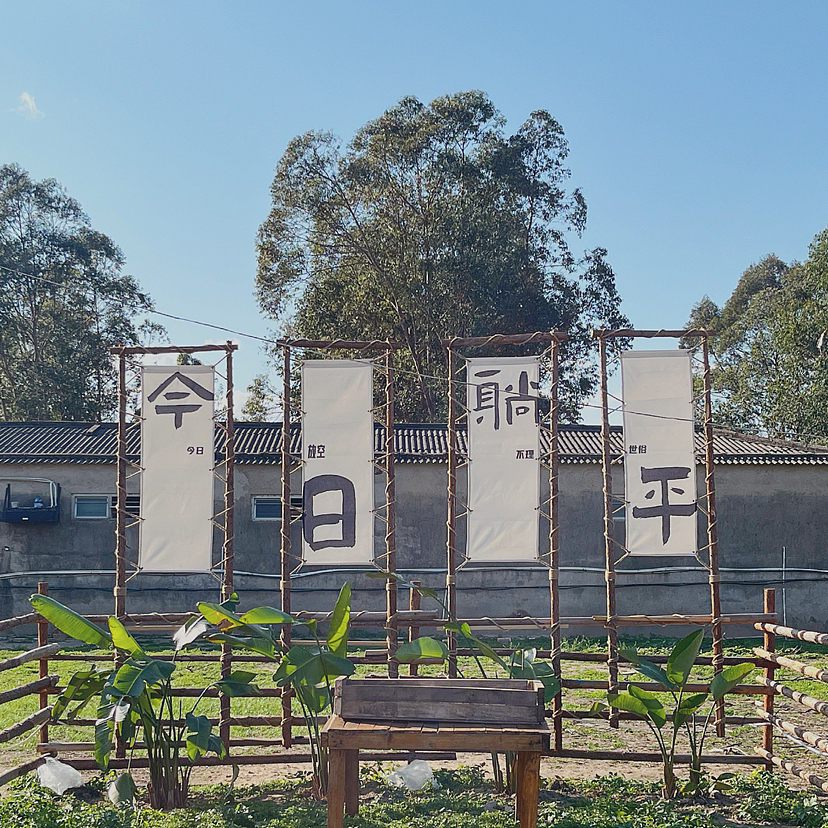 手机拍摄-汕头-科牧羊场