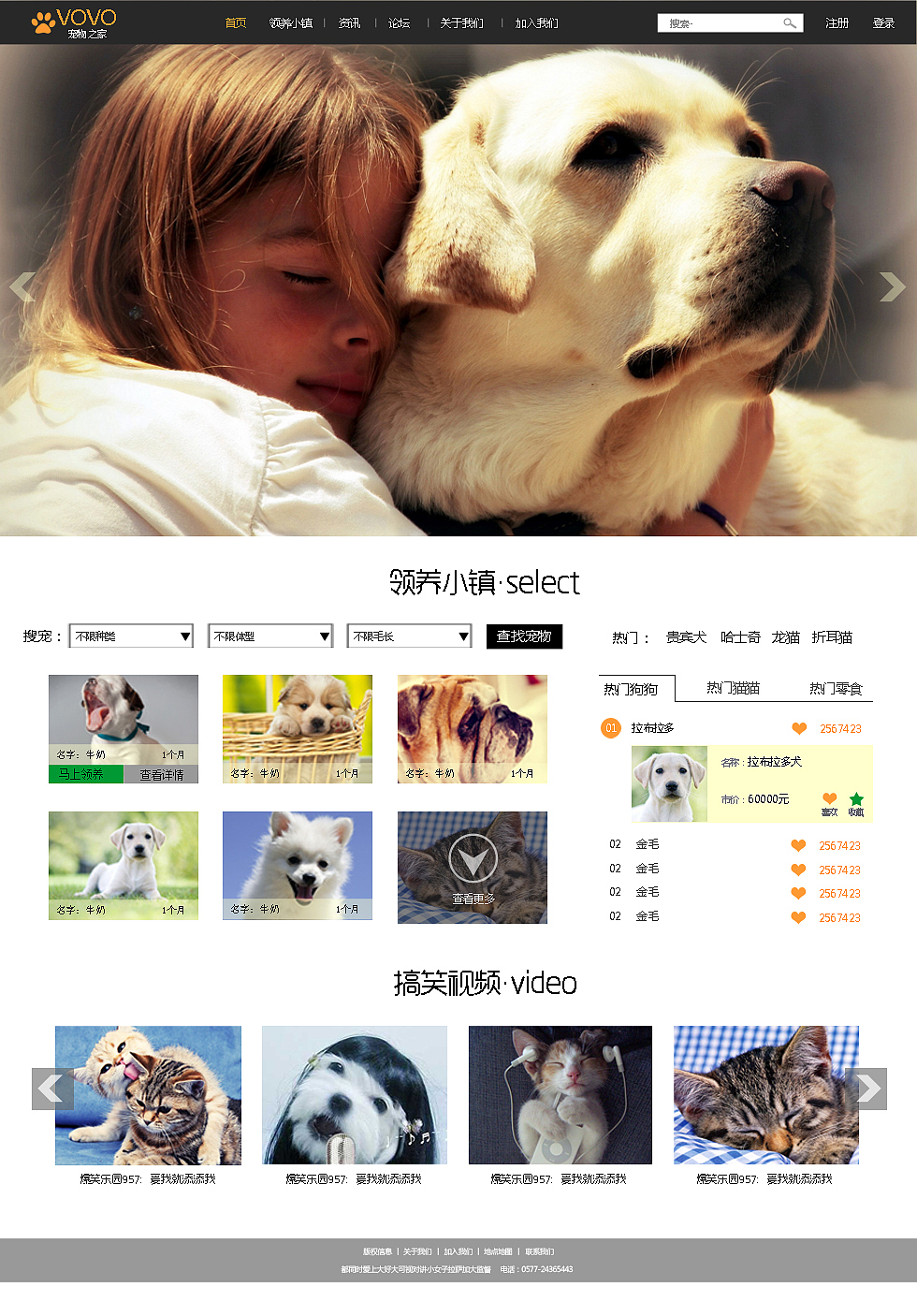 宠物网页练习