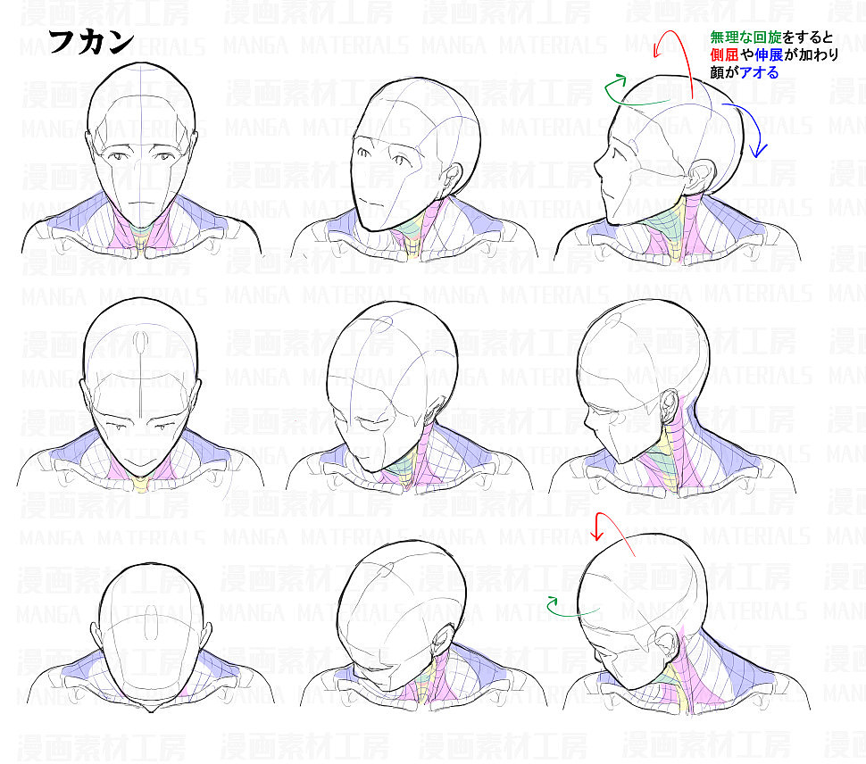 「素材」首の骨と筋肉変化+首可動のフリ part 01