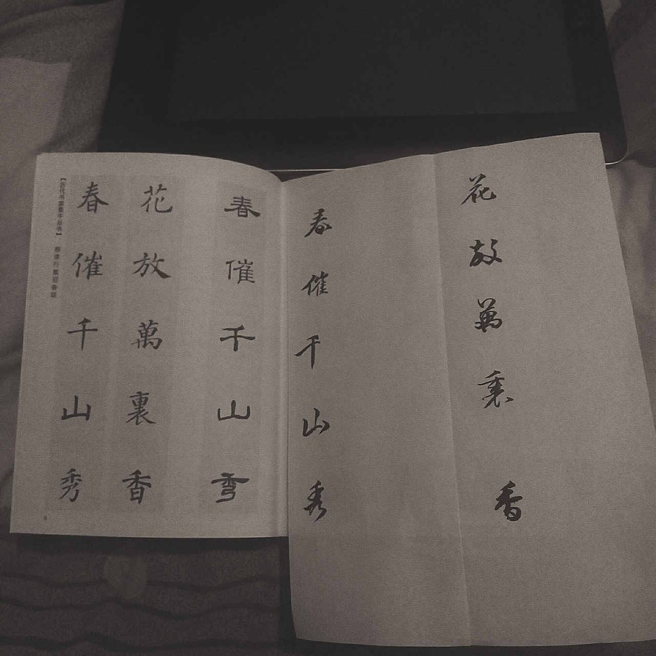 临摹（图ZNTc3MTExMDA=） - 书法 - 站酷设计师贝塔葡聚糖原创素材 - 站酷ZCOOL