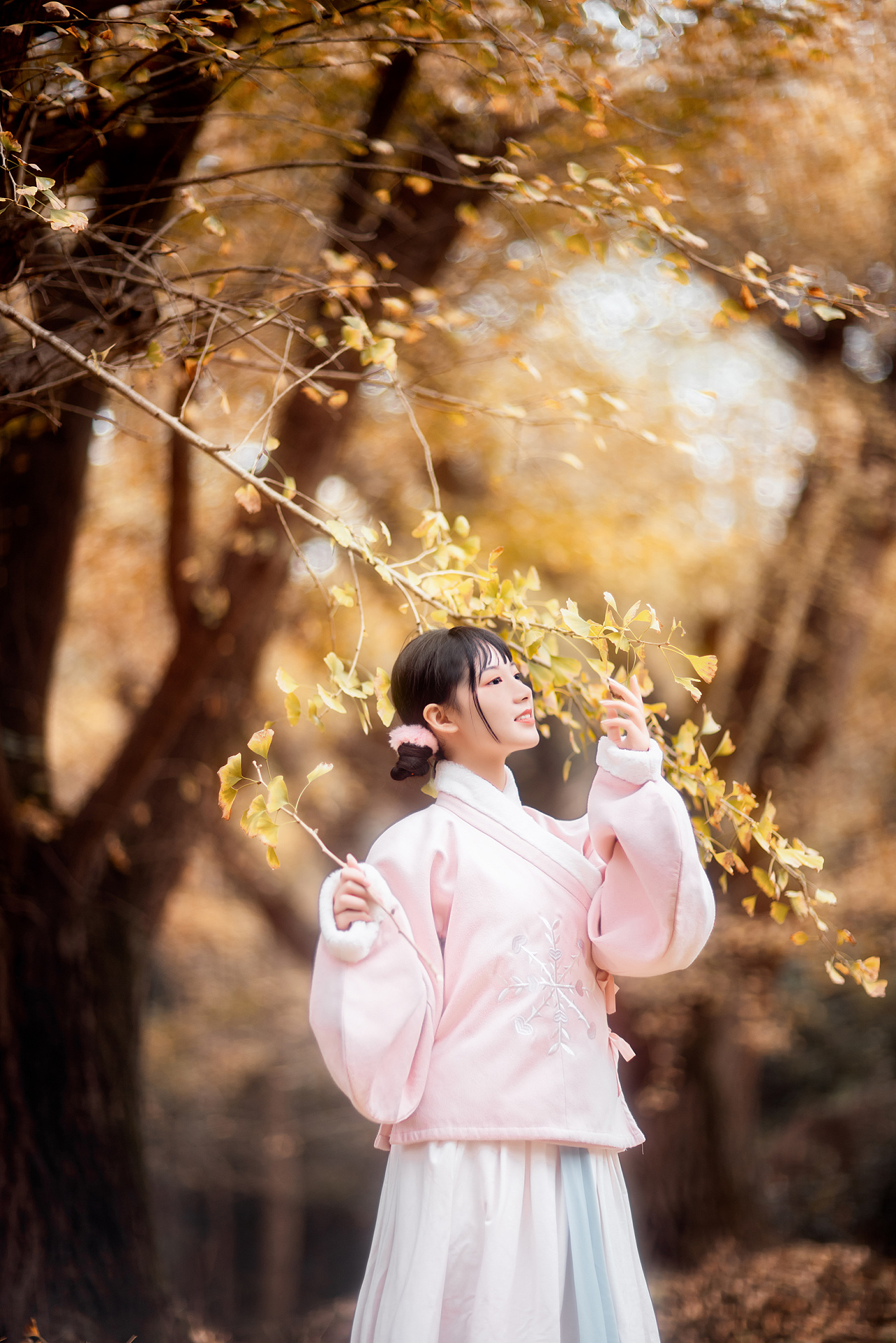 杏仙歌