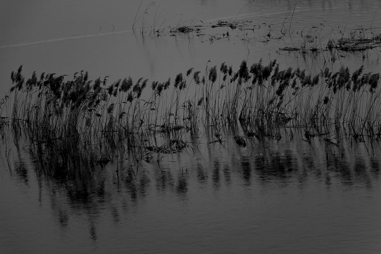 我们看见自己的倒影2