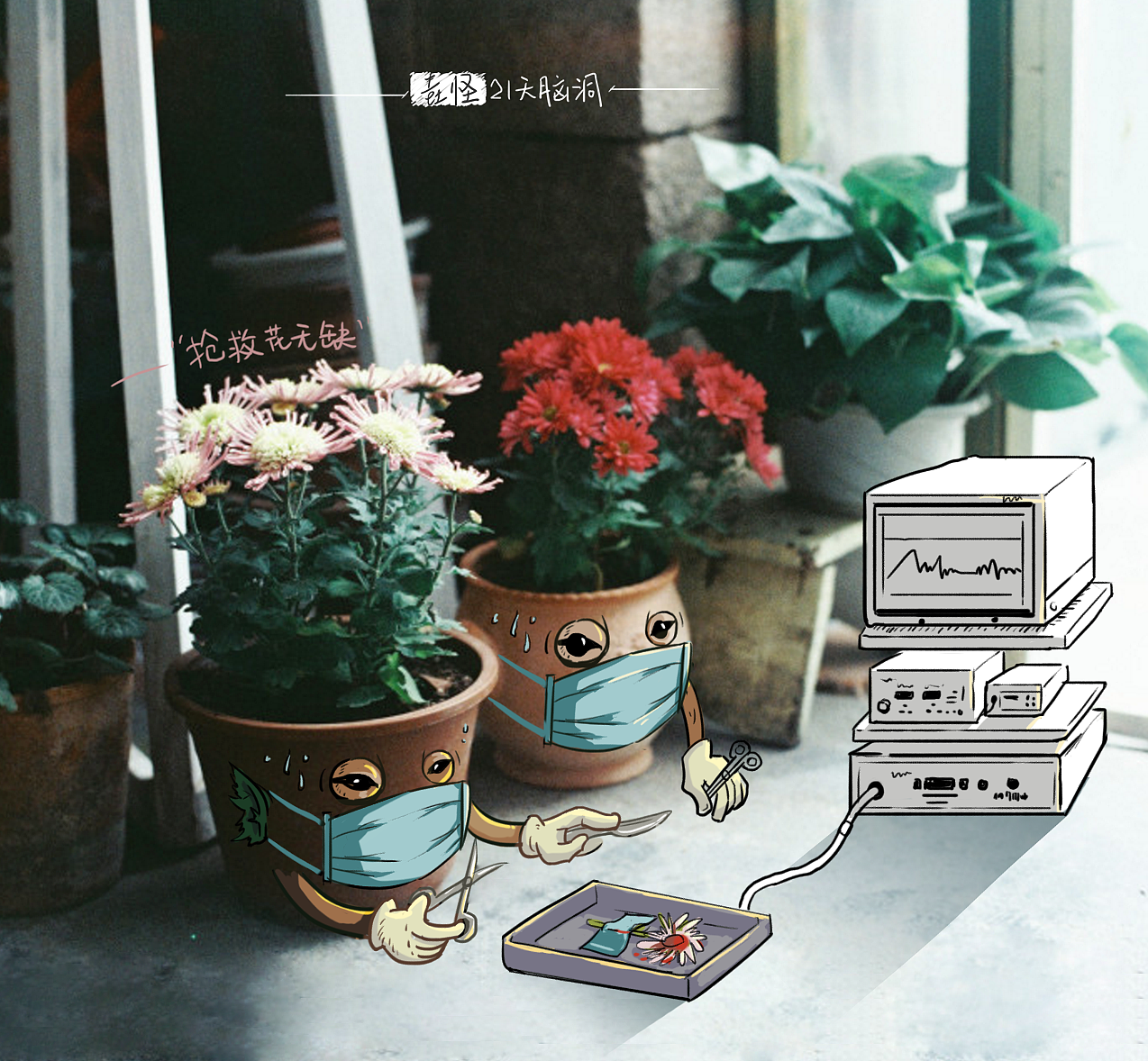 《抢救花无缺》