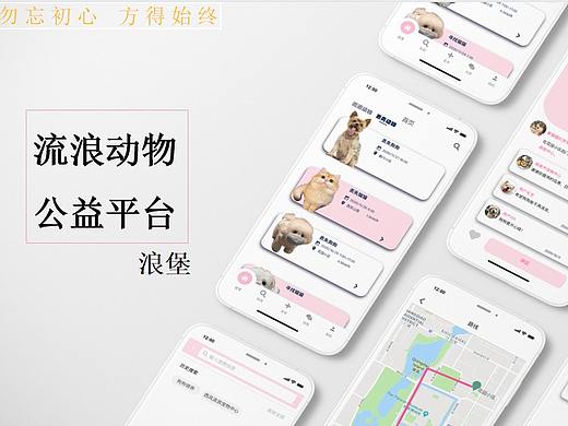 交互app 流浪宠物公益平台-浪堡