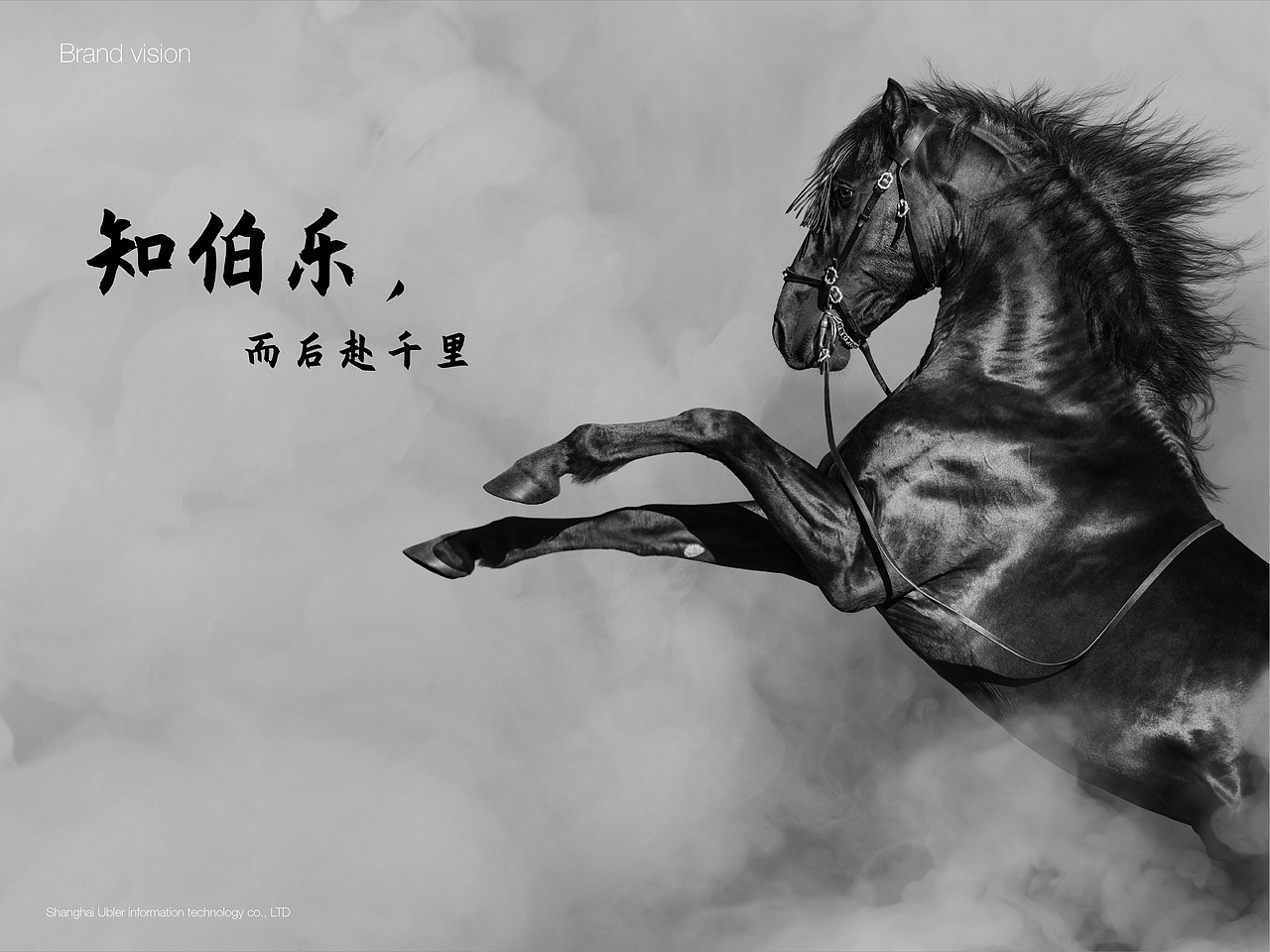 互联网信息公司品牌视觉设计|有铂乐 Ubler