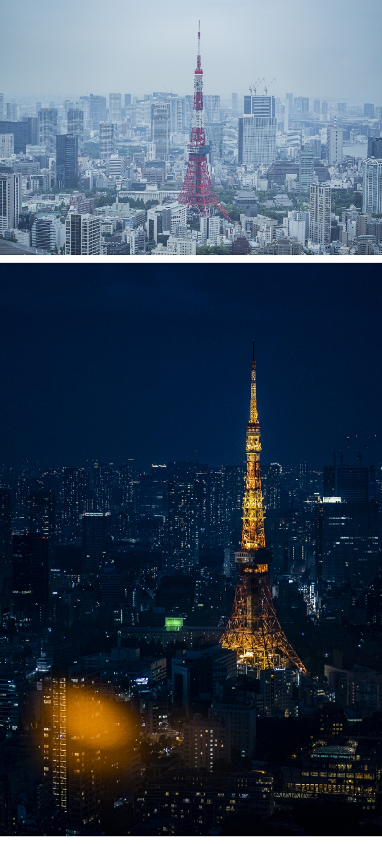 日本霓虹国游记