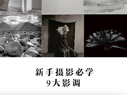 干货｜学会摄影9大影调帮你找到个人风格✖️灵度摄影